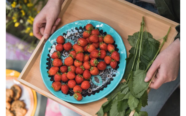 Rebel Outdoor Dessertteller 22 Cm Blau 3 Rebel Outdoor Dessertteller 22 Cm Blau