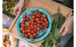 Rebel Outdoor Dessertteller 22 Cm Braun