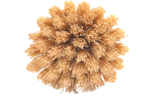 Origin Outdoors Reinigungsbürste Spülbürste Bambus Mit Naturfasern 4 Origin Outdoors Reinigungsbürste Spülbürste Bambus Mit Naturfasern – Bild 2